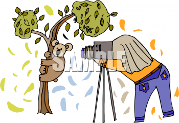 Marsupial Clipart
