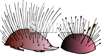 Animal Clipart