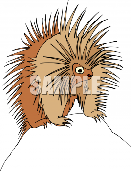 Rodent Clipart