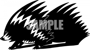Rodent Clipart