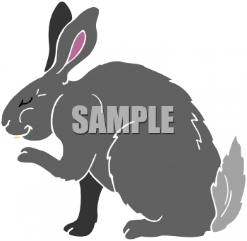 Pet Clipart