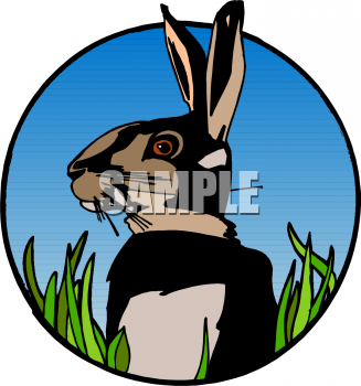 Pet Clipart