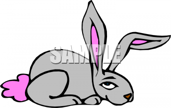 Pet Clipart