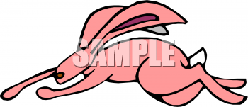 Pet Clipart