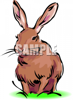 Pet Clipart