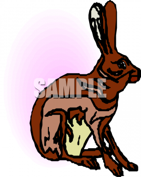 Pet Clipart