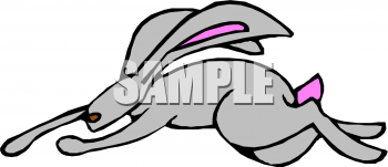 Pet Clipart