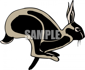 Pet Clipart