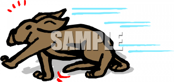 Pet Clipart