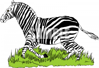 Horse Clipart