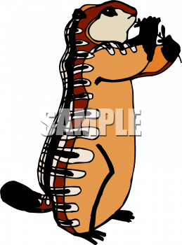 Animal Clipart