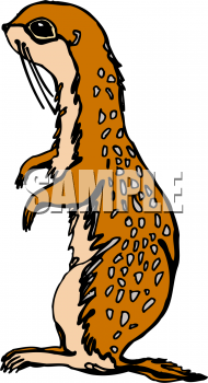 Animal Clipart