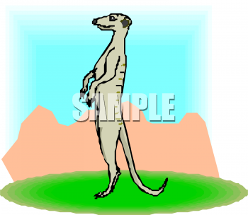 Animal Clipart