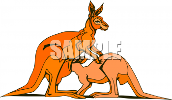 Marsupial Clipart