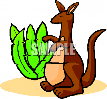Marsupial Clipart