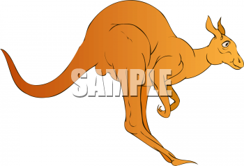 Marsupial Clipart