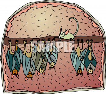 Rodent Clipart