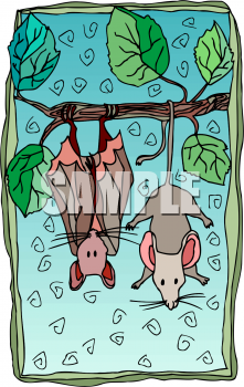 Rodent Clipart