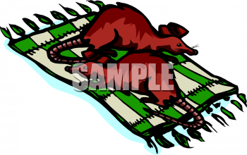 Rodent Clipart