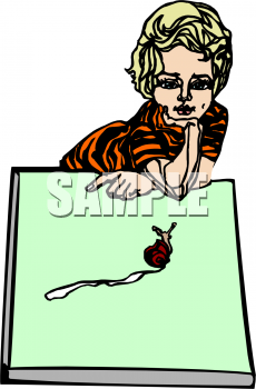 Mollusk Clipart