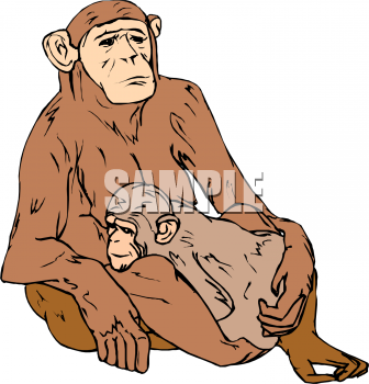Primate Clipart