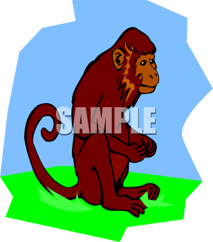 Primate Clipart