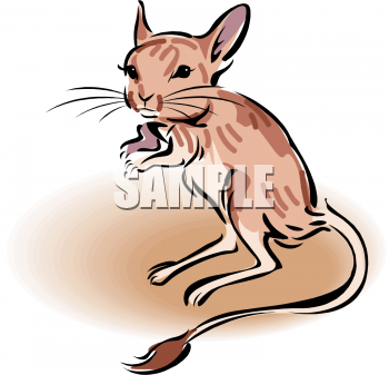 Rodent Clipart