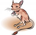 Rodent Clipart