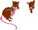 Rodent Clipart