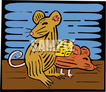 Rodent Clipart