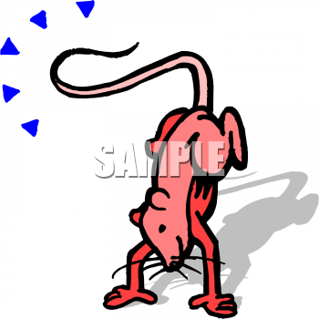 Rodent Clipart