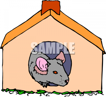 Rodent Clipart