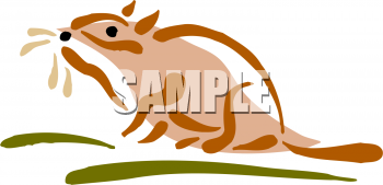 Rodent Clipart