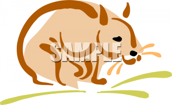 Rodent Clipart
