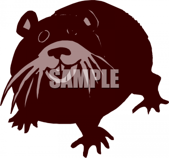 Rodent Clipart