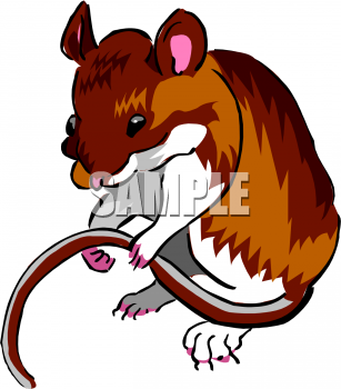 Rodent Clipart