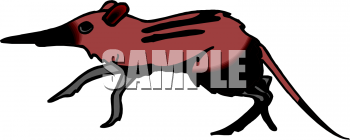 Rodent Clipart