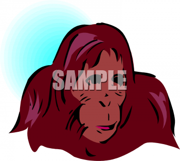 Primate Clipart
