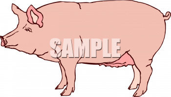 Farm Animal Clipart