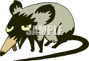 Rodent Clipart