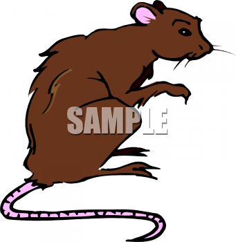 Rodent Clipart