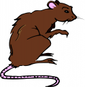 Rodent Clipart