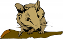 Rodent Clipart