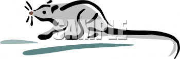 Rodent Clipart