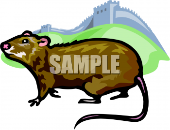 Rodent Clipart