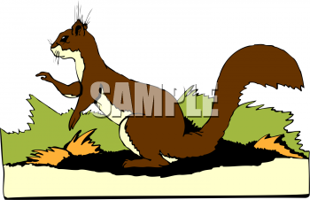 Rodent Clipart