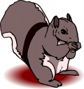 Rodent Clipart
