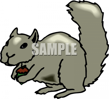 Rodent Clipart