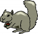Rodent Clipart