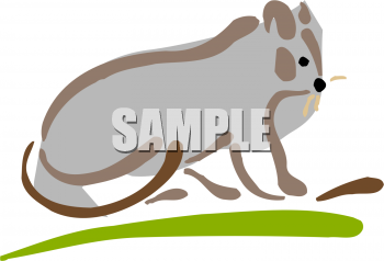 Rodent Clipart